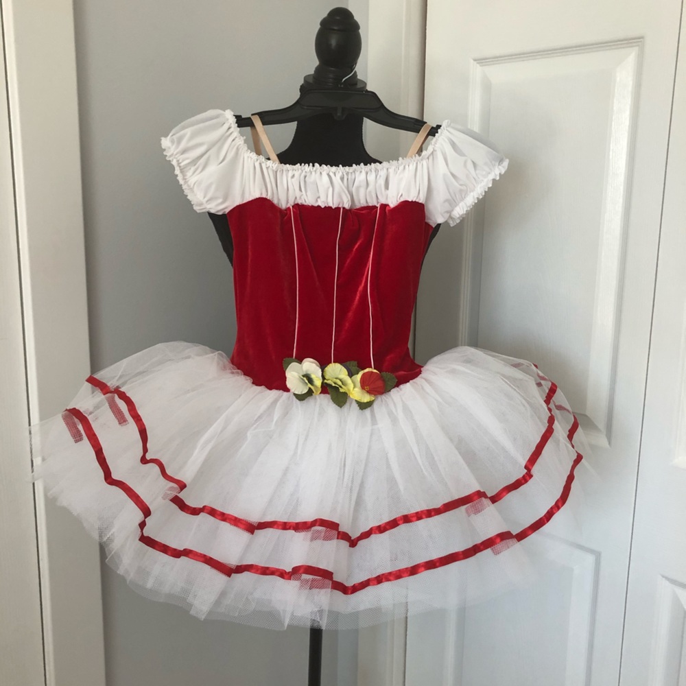 Dance / Pageant / Halloween Costume